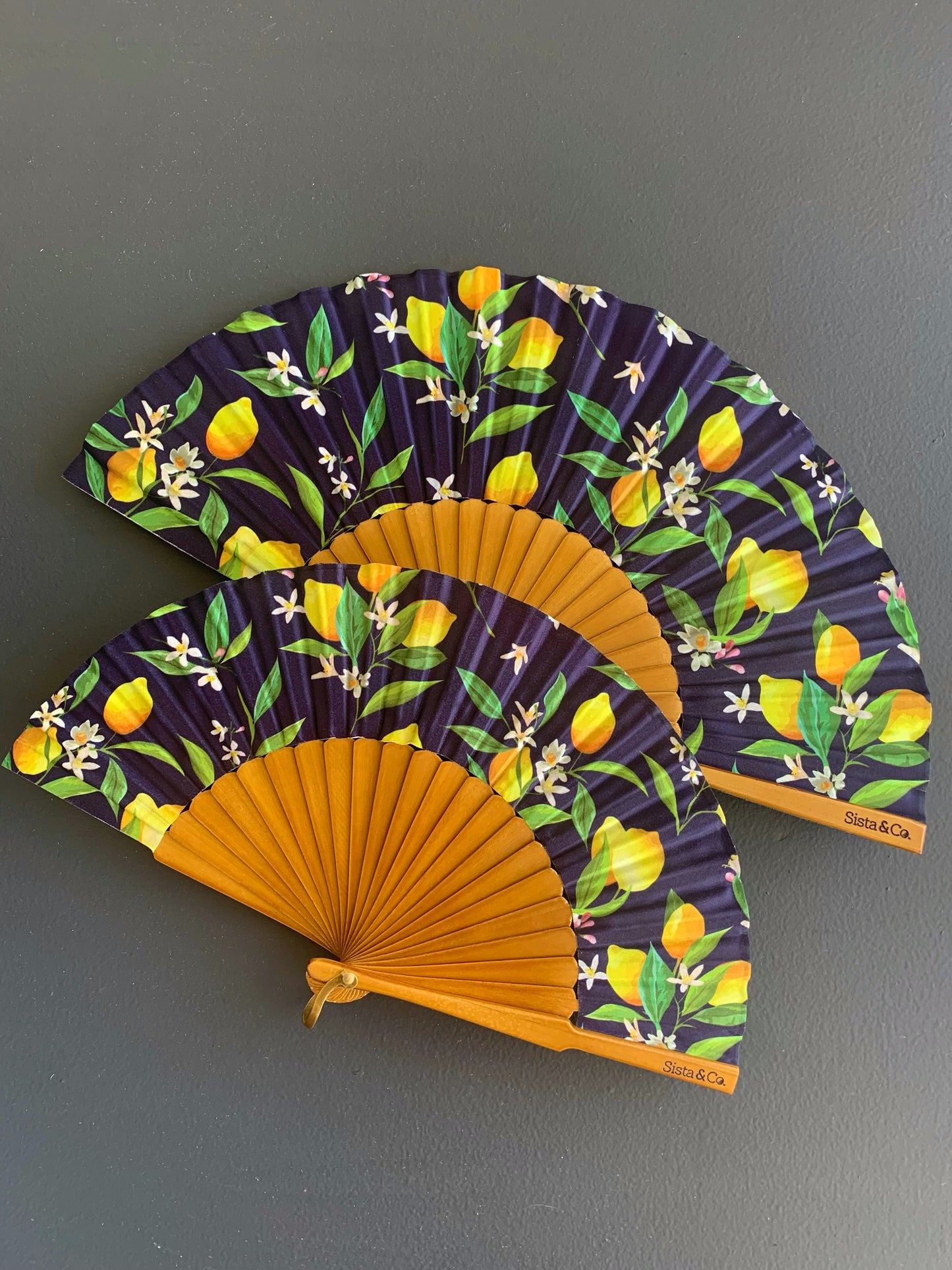 Squeeze The Day Hand Fan