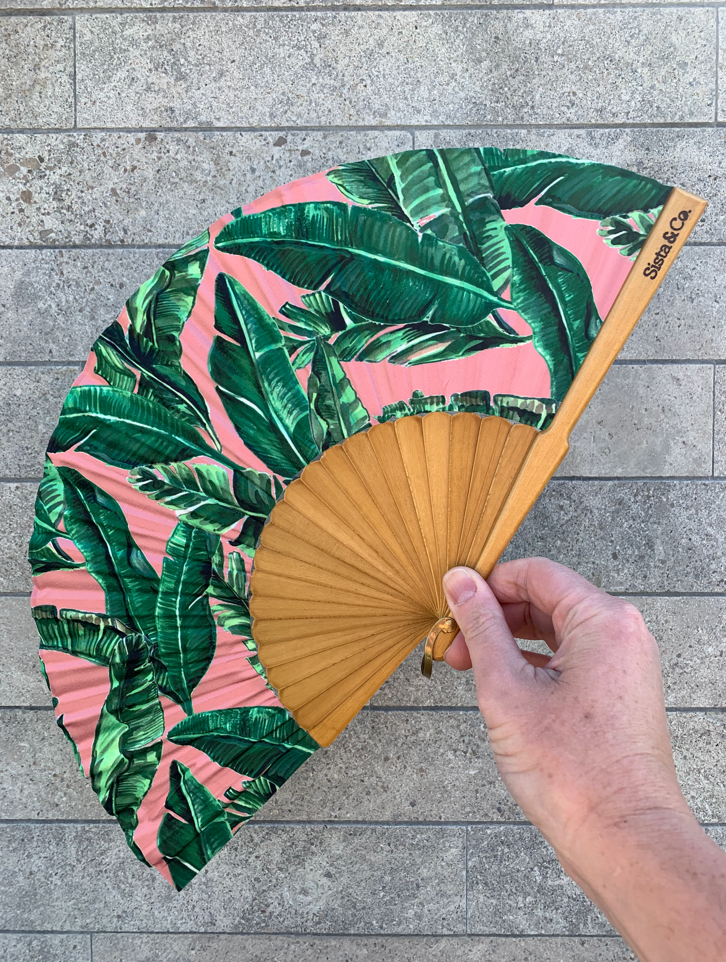California Dreaming Hand Fan