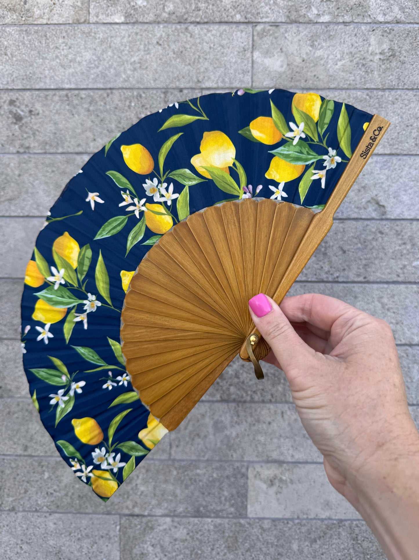 Squeeze The Day Hand Fan